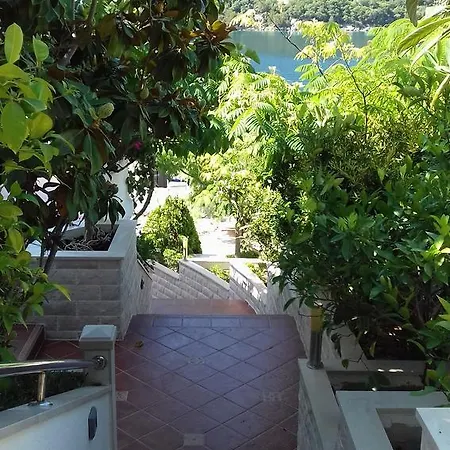 Pasadur 8386b Lastovo